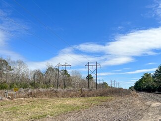 0 Joe Allen Rd Unit 29091380, Honey Island, TX 77625