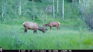 0 Tbd County Road 249 Unit 21070235, Rifle, CO 81650