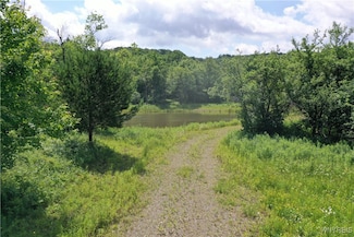 7475 Dublin Rd, Salamanca, NY 14779