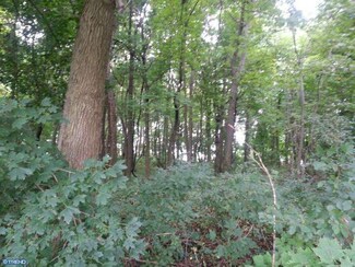 LT 4 Zook Rd, Atglen, PA 19310