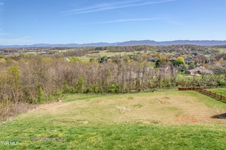 125 Simmons Ridge, Johnson City, TN 37604