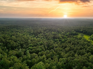 TBD County Road 425, Kirbyville, TX 75956