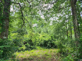 TBD Donald Dr, Denham Springs, LA 70726