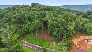106 Monte Sano Dr, Scottsboro, AL 35769
