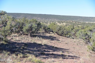 4389 S Sorrel Rd, Snowflake, AZ 85937