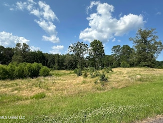 9050 Kerri Ruth Rd, Hernando, MS 38632