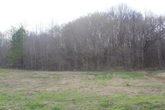 2 N Baldwin Rd, Lake Cormorant, MS 38641