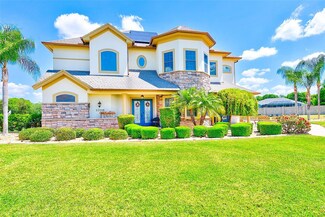 22348 Bartholdi Cir, Land O Lakes, FL 34639