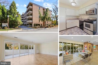 1 Hamill Ct Unit 20, Baltimore, MD 21210