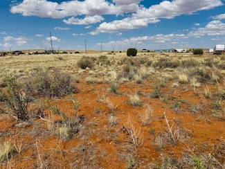 5570 Diana Dr, Snowflake, AZ 85937