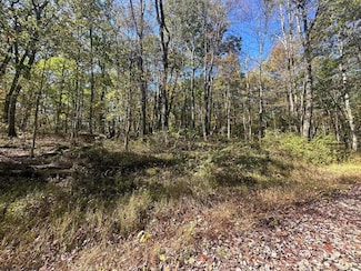 20 Rhododendron Dr, Terra Alta, WV 26764