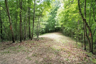 1480 Hemlock Falls Rd, Franklin, NC 28734