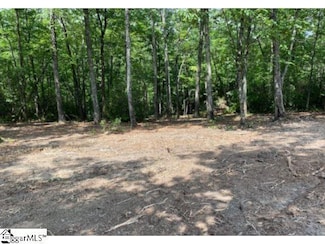 465 Highridge Pkwy Unit The Cliffs at Mounta, Marietta, SC 29661