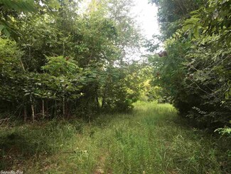 271 Mount Carmel Rd, Dierks, AR 71833