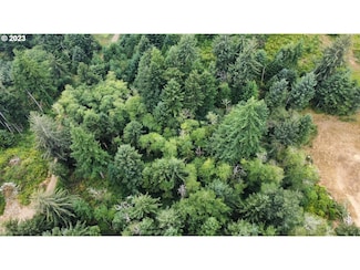 0 Tl400 Erhart Rd, Florence, OR 97439