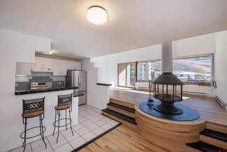 40 Marcellina Ln Unit 24 CINNAMON RID, Crested Butte, CO 81225