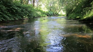 0 State Route 506 Unit 649210, Vader, WA 98593