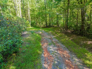 0 Pine Ridge Rd Unit 418823, Ellijay, GA 30536