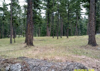 Nhn White Basin Rd S, Somers, MT 59932