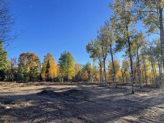 6736 Finnegan Rd, Johannesburg, MI 49751