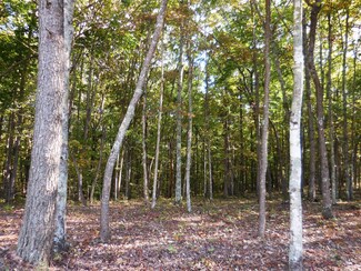 Lot 29 Grapevine Rd, Crossville, TN 37367