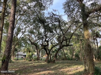 1644 Shell Harbor Rd, Pierson, FL 32180
