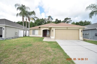 6209 Chapel Pines Blvd, Wesley Chapel, FL 33545