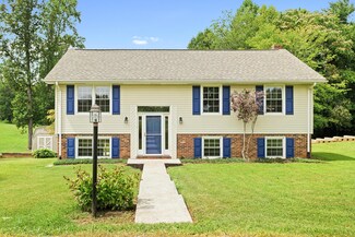 4411 Waidsboro Rd, Ferrum, VA 24088