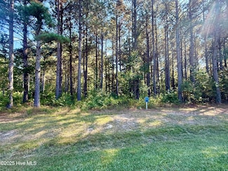 408 Plumtree Cir, Edenton, NC 27932