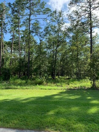 7238 Saddleworth Trail, Wilmington, NC 28405