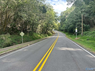 Lot 12 Lusk St, Guntersville, AL 35976