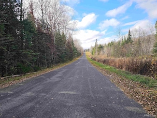 2.26ac Cataldo Dr Unit Lot 4, Iron River, MI 49935