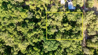 0 NE 206th St, Fort Mc Coy, FL 32134