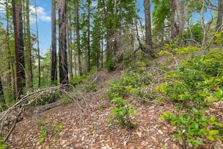 03 Bloom Grade Rd, Boulder Creek, CA 95006