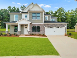 266 Murray Falls Ln, Chapin, SC 29036