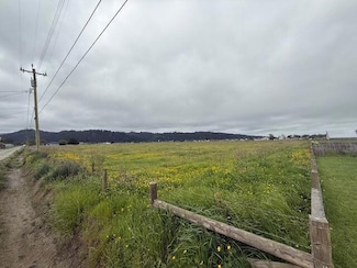 0 Ambrosini Ln, Ferndale, CA 95536