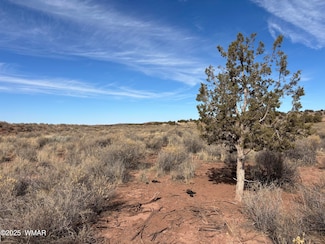 9659 E Juniper Berry Trail, Snowflake, AZ 85937