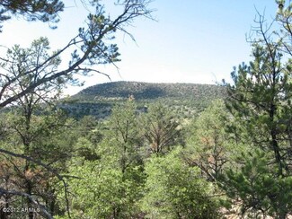 533 Ike Clark Pkwy Unit 1, Young, AZ 85554