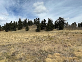 491 Abandoned Rail Rd, Fair Play, CO 80440