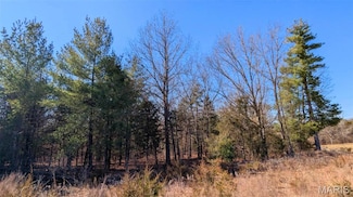 19 Windy Ridge Ln, Warrenton, MO 63383