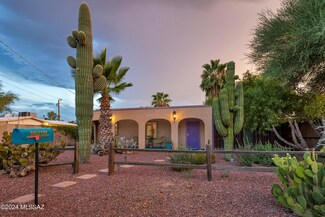 1509 N Van Buren Ave, Tucson, AZ 85712