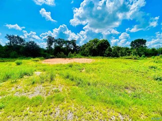 100 Spring Valley Dr, Danville, AL 35619