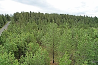 TBD 5 Elo Rd, McCall, ID 83638