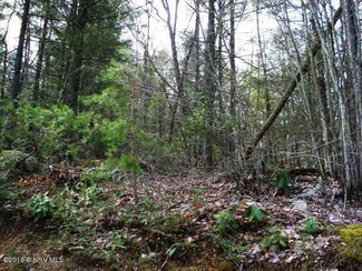 39 Locust Hill Rd, Max Meadows, VA 24360