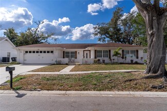 13508 Greenleaf Dr, Tampa, FL 33613
