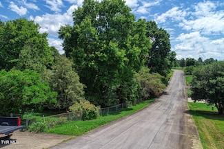 Tbd Ruth Brook Dr, Mount Carmel, TN 37645