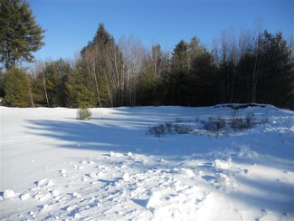 21 River View Rd Unit 21, Newport, NH 03773