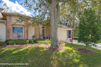 2102 Springmeadow Dr, Spring Hill, FL 34606