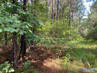 119 ACRES Sandoak Rd, Hamilton, AL 35570