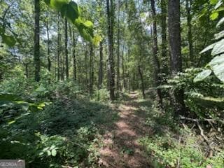 0 Charleston Dr NW Unit 10543945, Rome, GA 30165